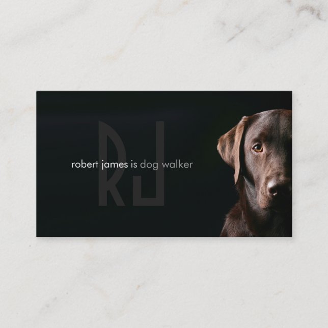 Stylish pet care dog walker walking business card (Front)