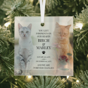 Stylish Pet Memorial 2 Cat Photo Glass Ornament