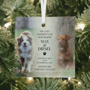 Stylish Pet Memorial 2 Dog Photo Glass Ornament