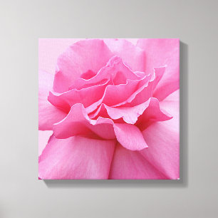 Stylish pink rose modern digital floral boho art canvas print