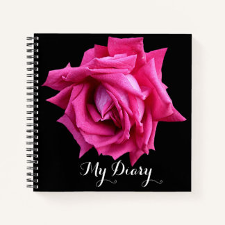 Stylish pretty hot pink rose flower black trendy notebook