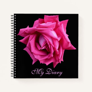 Stylish pretty hot pink rose flower black trendy notebook