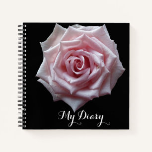 Stylish pretty pink rose flower black trendy boho  notebook