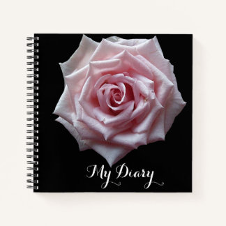 Stylish pretty pink rose flower black trendy boho  notebook