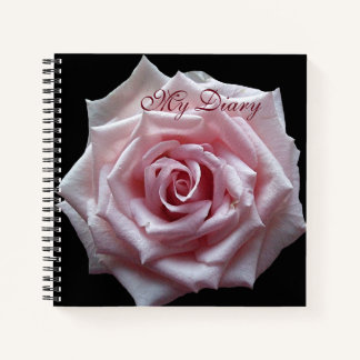 Stylish pretty pink rose flower black trendy boho  notebook