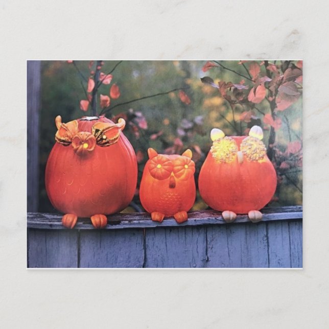 ****STYLISH PUMPKINS HALLOWEEN**** POSTCARD (Front)