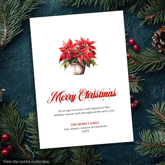 Stylish Red White Poinsettia Holiday Greeting Card (Stylish Red White Poinsettia Holiday Greeting Card

)