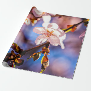 Stylish Sakura Blossoms Wrapping Paper
