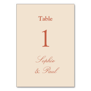 Stylish Terracotta Straw Beige Table Number