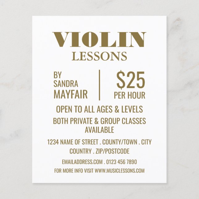 Stylish Violin Lessons Advertising Flyer (Front)