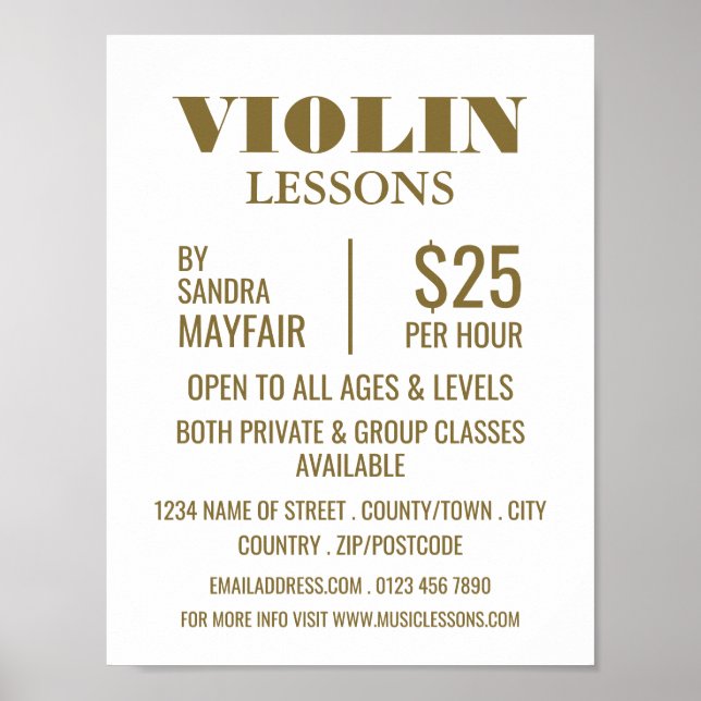 Stylish Violin Lessons Advertising Poster (Front)