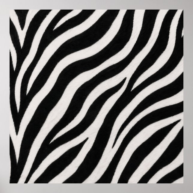Stylish Zebra Print Poster Contemporary Decor (Front)