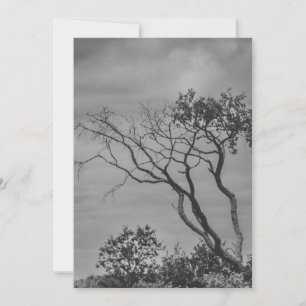 stylized American gothic tree photo reprint by SWS Holiday Card