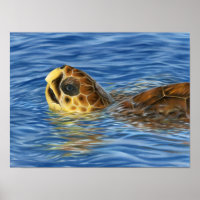 Stylized Basking Loggerhead Sea Turtle