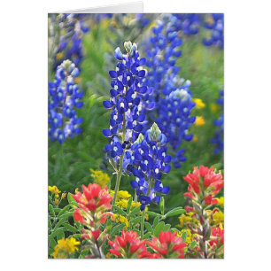 Stylized Bluebonnet