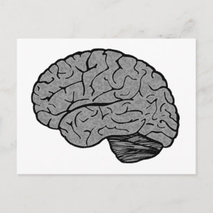 Stylized Brain Postcard