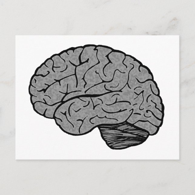 Stylized Brain Postcard (Front)