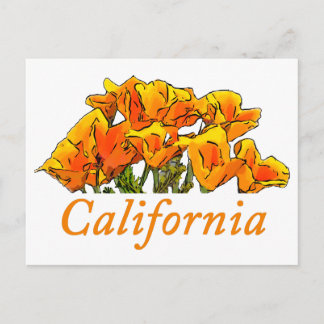 Stylized California Poppy Art, "California" text Postcard
