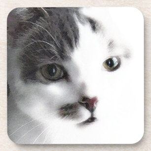 Stylized Cat Face Close-up Coaster Set (6)
