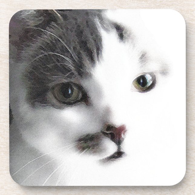 Stylized Cat Face Close-up Coaster Set (6) (Front)