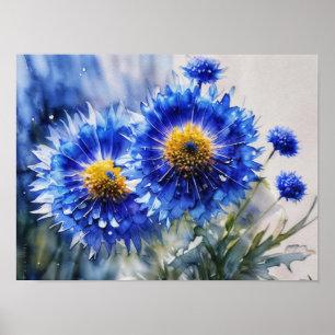 Stylized cornflowers, wild flowers poster