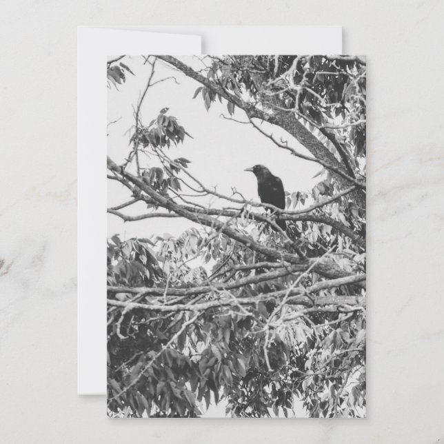 stylized high-contrast American gothic crow art Holiday Card (Front)