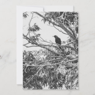 stylized high-contrast American gothic crow art Holiday Card