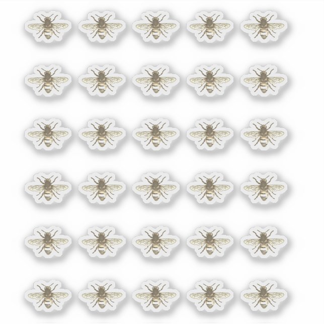 Stylized Honeybee Beekeeper Stickers  (Front)