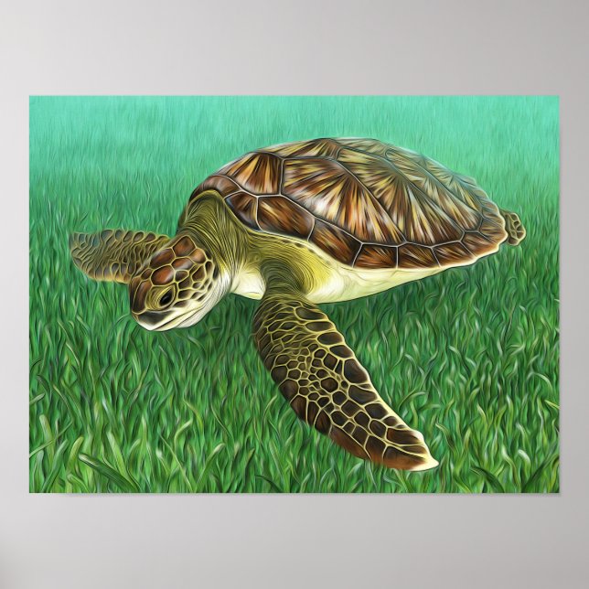 Stylized Juvenile Green Turtle Poster (Front)