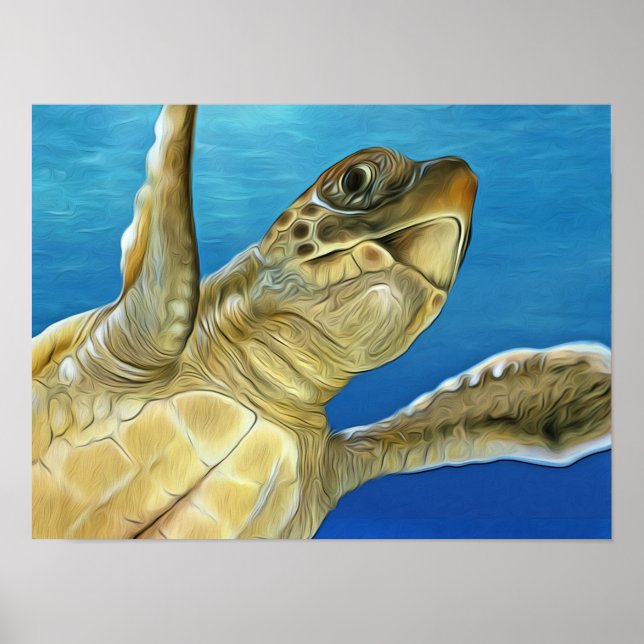 Stylized Loggerhead Sea Turtle Poster (Front)
