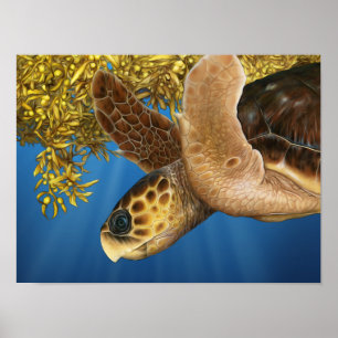 Stylized Loggerhead Sea Turtle with Sargassum Poster