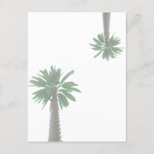 Stylized Palm Tree Pastel Green Tropical Postcard