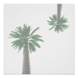 Stylized Palm Tree Pastel Green Tropical Poster