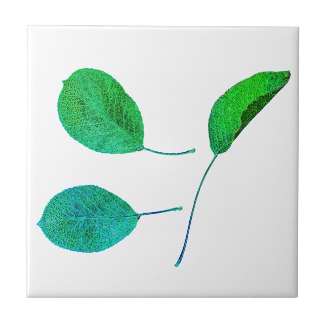 Stylized Pear Tree Leaf Texture Print Tile (Front)
