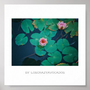 Stylized Pink Water Lily Flowers Plants Poster