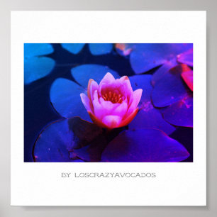 Stylized Pink Water Lily Flowers Plants Poster