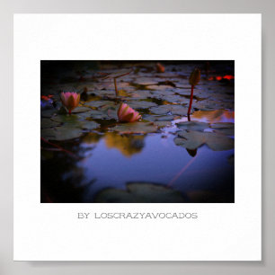 Stylized Pink Water Lily Flowers Pond Poster
