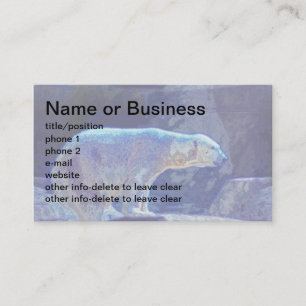 Stylized Polar Bear Business Card