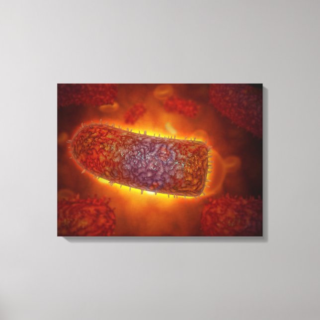 Stylized Rabies Virus Particles 2 Canvas Print (Front)