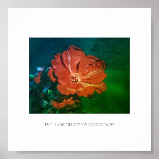 Stylized Red Green Geranium Flower Poster (Front)