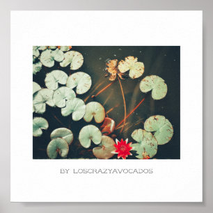 Stylized Red Green Water Lily Flower Plants Poster