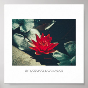 Stylized Red Green Water Lily Flower Plants Poster