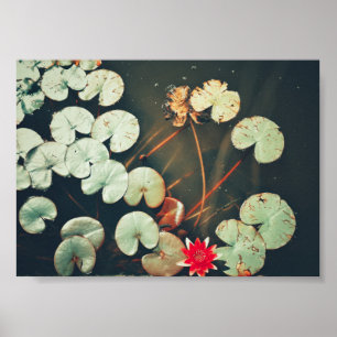 Stylized Red Green Water Lily Flower Plants Poster