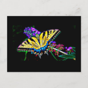 Stylized Swallowtail Butterfly Postcard