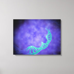 Stylized View Of Strands Of Human DNA Canvas Print