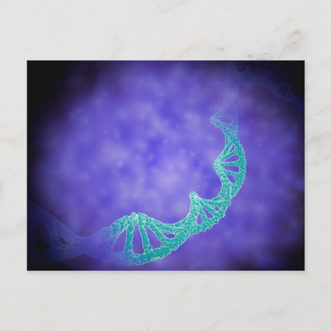 Stylized View Of Strands Of Human DNA Postcard (Front)