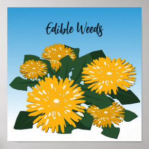 Stylized Wildflower Yellow Dandelion Edible Weeds Poster