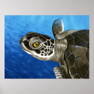 Stylized Young Green Turtle Poster