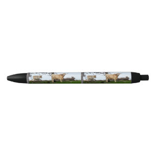 Stylo Bleu Deux vaches de Highland dans des terres paisibles,