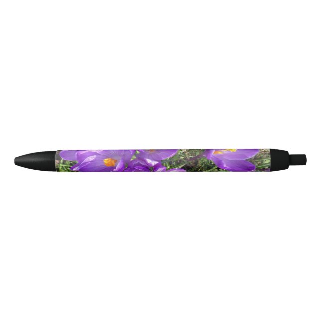 Stylo Crocus pourpre (Devant)